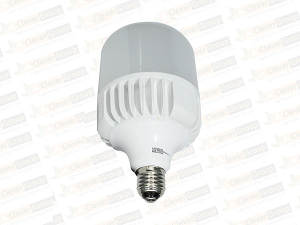 Ampolleta High Power E27 24W 5500K